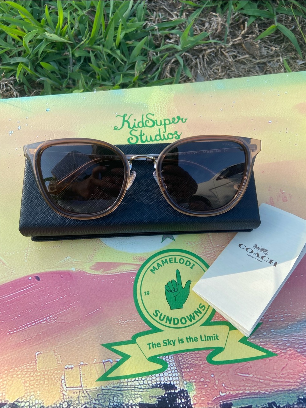 Coach Brown Gradient Round Sunglasses